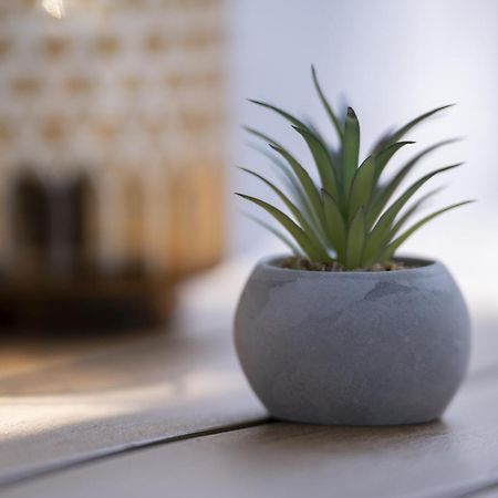 Frketic SeloKuca Za Odmor Casa Huerta别墅 外观 照片